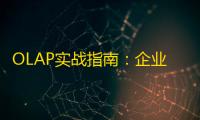 OLAP实战指南：企业级在线分析处理技术的深度解析与价值实现